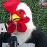 Фото профиля gallina de corazon, pero de cerebro programador