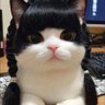 Profilbild von TO-YO