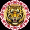 ✨🇯🇵✨KIRORO✨🇯🇵✨ profil fotoğrafı