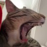 Profilbild von .