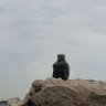 Фото профиля Faisal