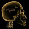 Solowise's profile picture