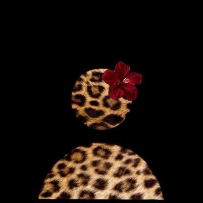 freaknasteh's profile picture