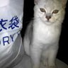 Фото профиля Sunny