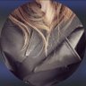 x's profile picture
