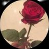 Profilbild von فـجـر الـغـلا🌹