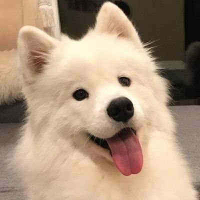 dewท์'s profile picture