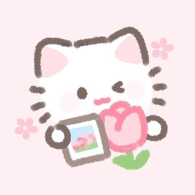 🎀 ╱ 𝗰𝗮𝘁 𓈒 🐱 𓈒's profile picture