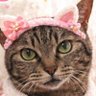Фото профиля みーにゃ