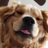 Profilbild von iti malias