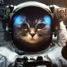 Фото профиля SpaceCat