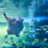 はな profil fotoğrafı