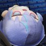 kazu´- 的头像