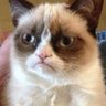 FAFO's profile picture