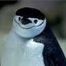Profilbild von 🐧yuki 1022🐧