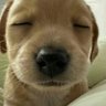 sherby's profile picture