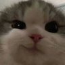 Profilbild von foowool