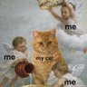 just another cat lady profil fotoğrafı