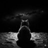 Фото профиля ~ › /dev/null