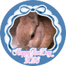 Фото профиля MJAM♥︎🦊🐰