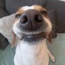 Tabasom's profile picture