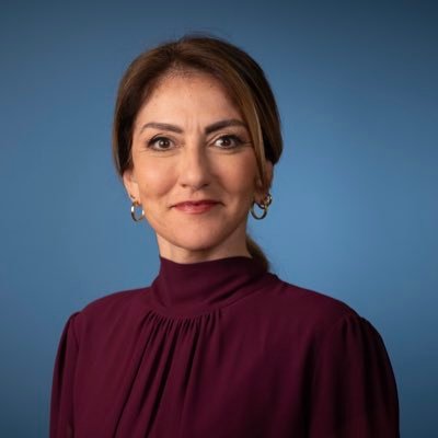 Dilan Yeşilgöz-Zegerius's profile picture