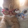 φ's profile picture