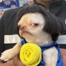 ㅇ ㅁ ㅅ . 的头像