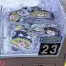 ギリシャの名も無き雑草 的头像