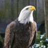 Jay Ding's profile picture