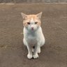 ⌜ malky ⌟ profil fotoğrafı