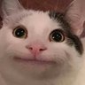 Profilbild von マダニイジ=ハーン