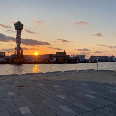gainer_belly's profile picture