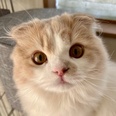 raikun_0806_'s profile picture
