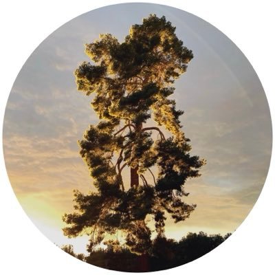 Bon Iver's profile picture
