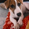 Фото профиля Freddie
