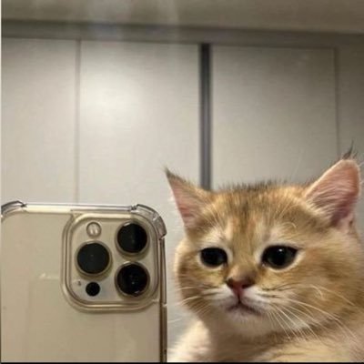 bhvy_590's profile picture