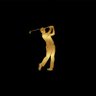 Profilbild von Mr Logic