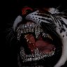 Ethereal Noire's profile picture