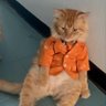 ละเอียด io ชั้น 4 profil fotoğrafı