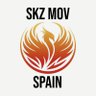 Stray Kids Movement Spain | SKZ in Spain 的头像