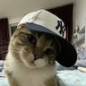 sente o meu flow, baby's profile picture