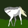 Фото профиля shark horse
