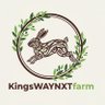 RABBITwayNxt🐇🐇🐇🐇's profile picture