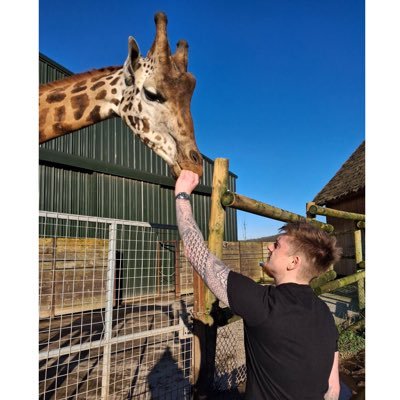 TipsterCharlie's profile picture