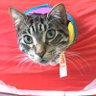 Profilbild von Luckyabout