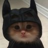 Profilbild von CAT