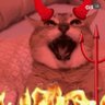 Profilbild von Yusfef