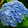 Фото профиля Alice Merotte