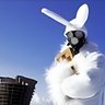 lime's profile picture